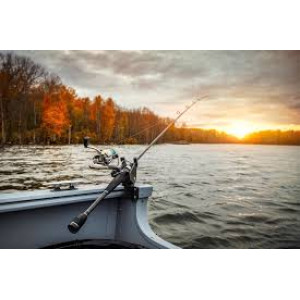 Freshwater Fishing Rods Freshwater Fishing Rods