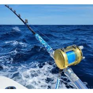 Saltwater Fishing Rods